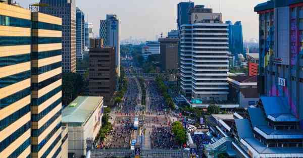 属兔2024年2月23日运势,属兔人2024年2月23日财运,生肖兔2024年2月23日运势